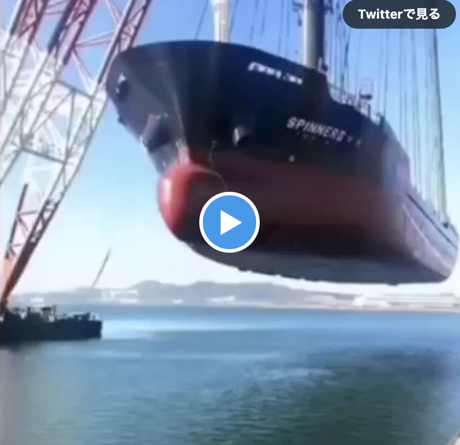 世界最大の浮きクレーン「ヒュンダイ 10000」は、巨大な船舶を水中から引き上げることができます。