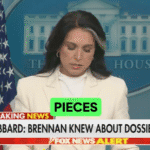 ■【まとめ記事】オバマ前大統領政権とロシアゲート疑惑まとめ：トゥルシー・ギャバード氏が“歴史的告発”？