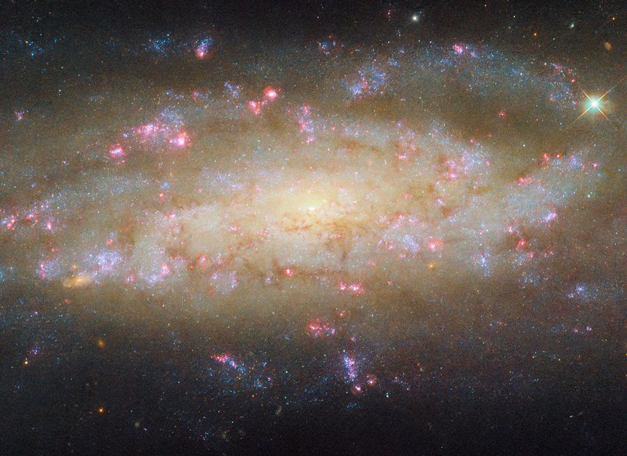 Hubble_NGC7569_potw2535a 🌌 まとめ記事:ハッブルがとらえた「見どころ満載の銀河」NGC 7456