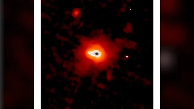 宇宙のチリ まとめ|JWSTが明かした「生き残るはずのない」銀河のちり