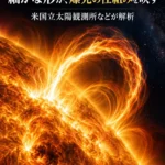 太陽フレアの「リボン」の細かな形が、爆発の仕組みを映す 米国立太陽観測所などが解析