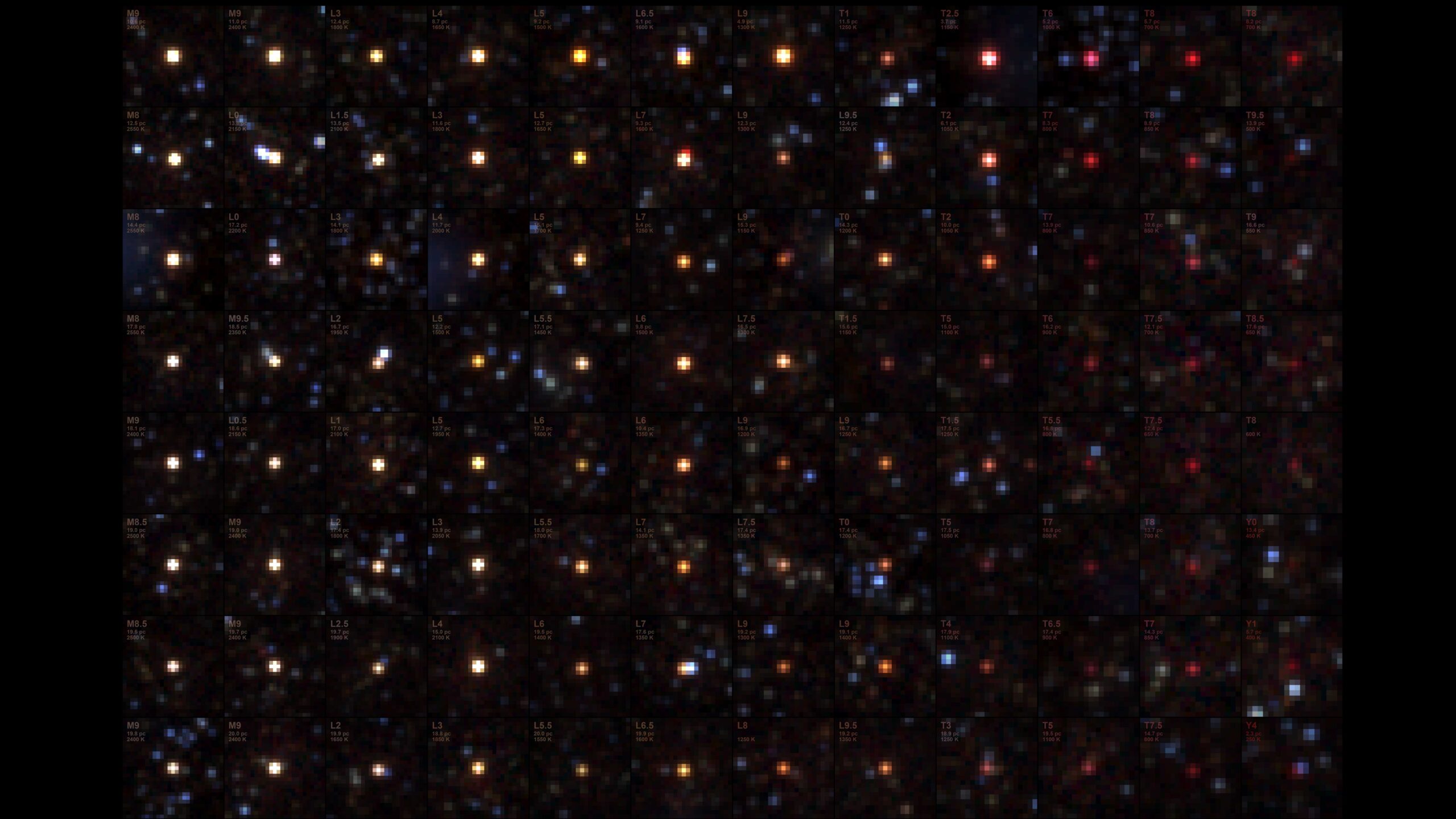 SPHERExが撮影した褐色矮星を並べた格子状の画像。白やオレンジから深い赤まで色の異なる点が並ぶ