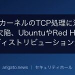 LinuxカーネルのTCP処理に深刻度9.8の欠陥、UbuntuやRed Hatなど主要ディストリビューションが影響